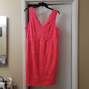 Torrid lace dress